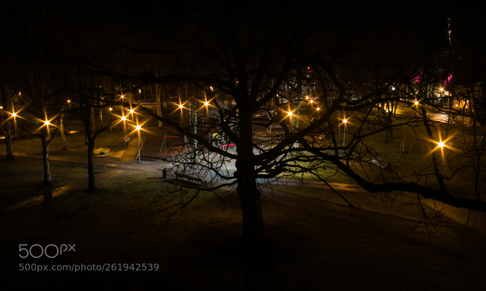 Canon EOS 70D sample photo. Fog park photography