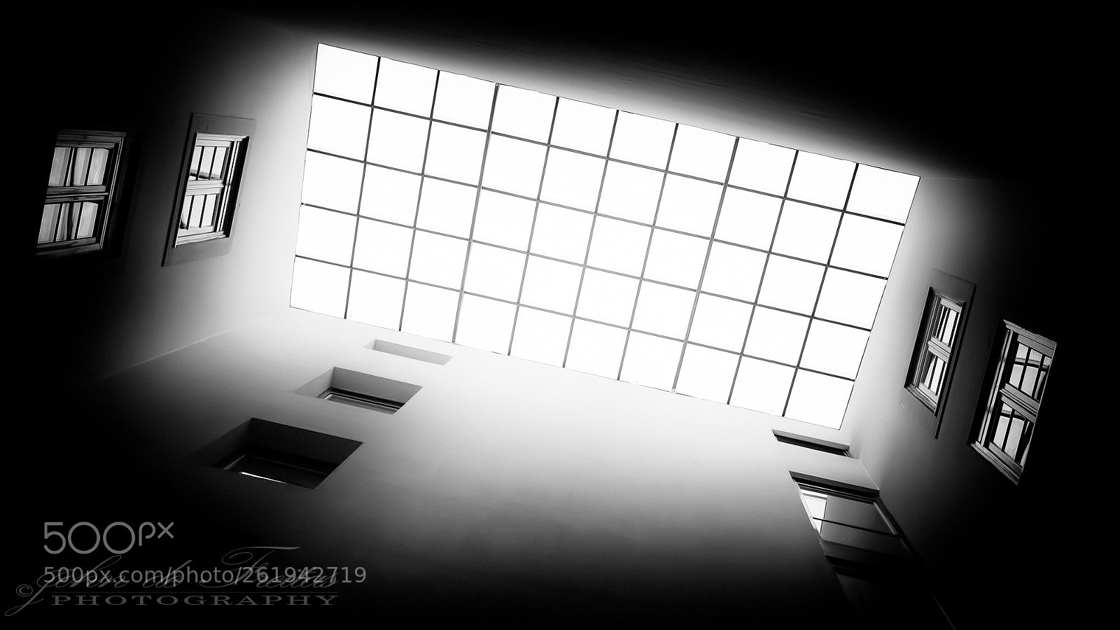 Canon EOS 5D Mark II sample photo. Looking up photography