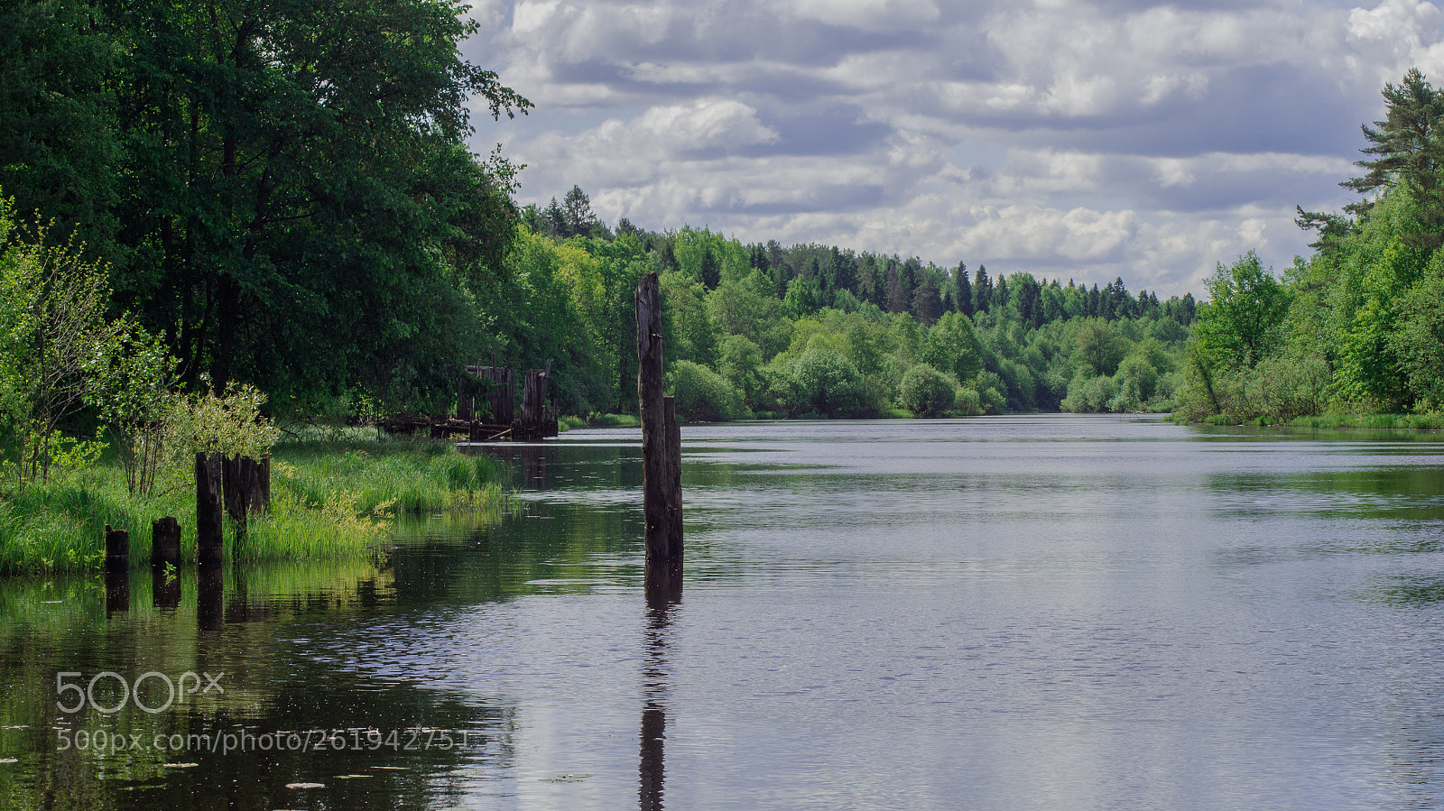 Sony SLT-A37 sample photo. на озере photography