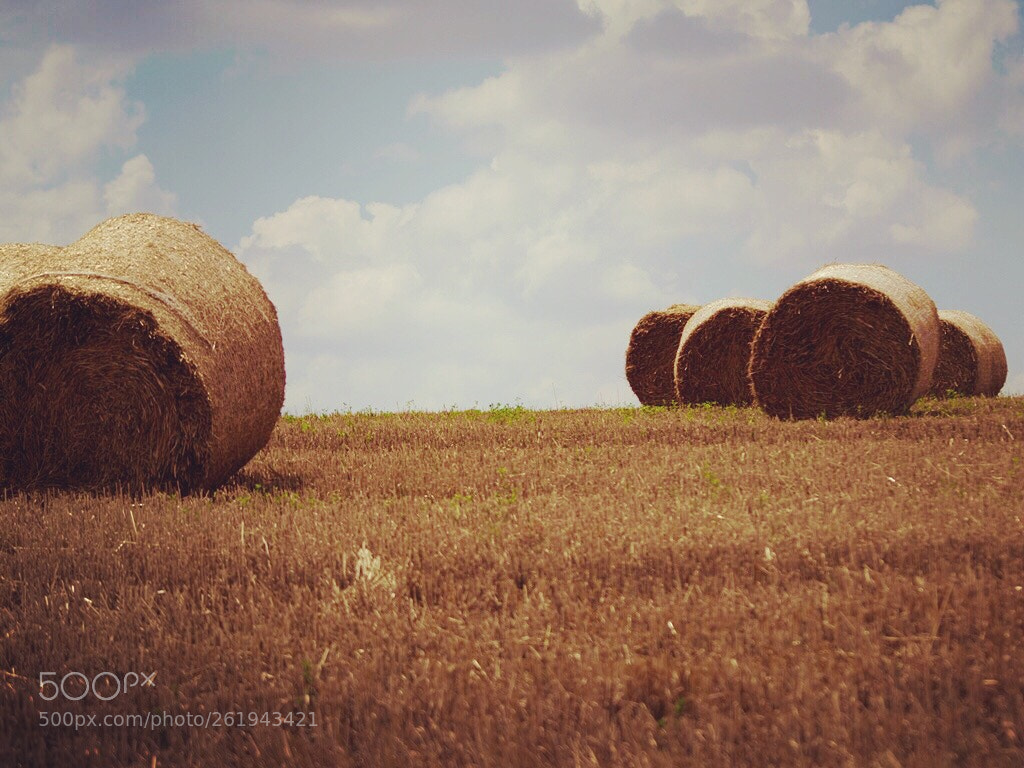 Olympus E-3 sample photo. Untitled photography