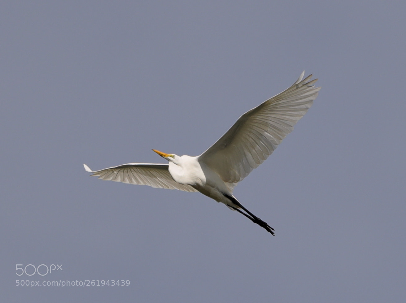 Canon EOS-1D X Mark II sample photo. 06-12-18-0022237.jpg photography