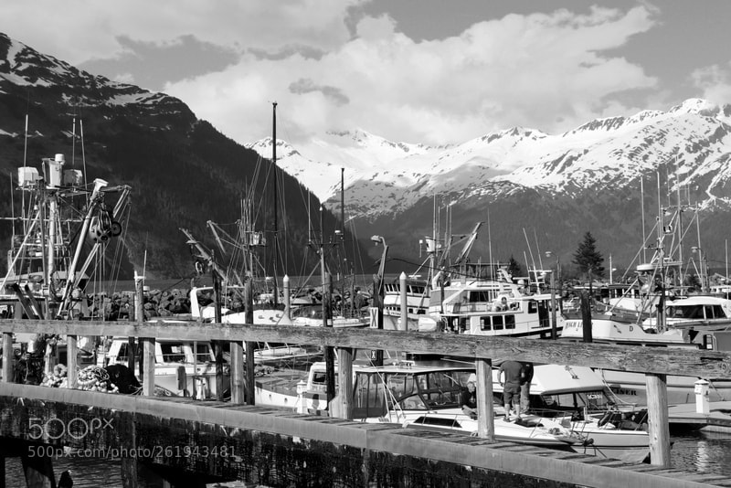 Canon EOS 200D (EOS Rebel SL2 / EOS Kiss X9) sample photo. Whittier harbor photography