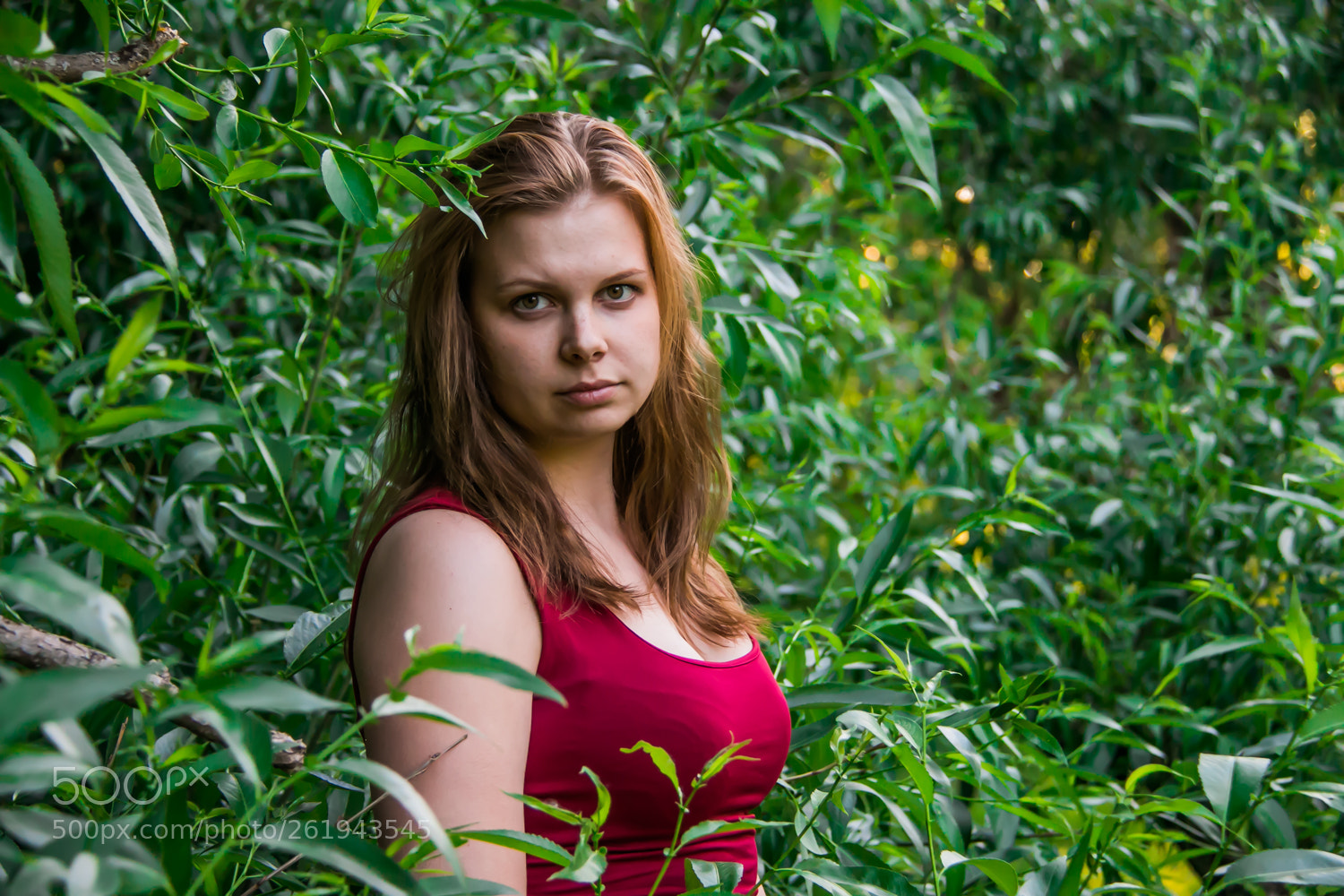 Canon EOS 70D sample photo. Maarjan photography