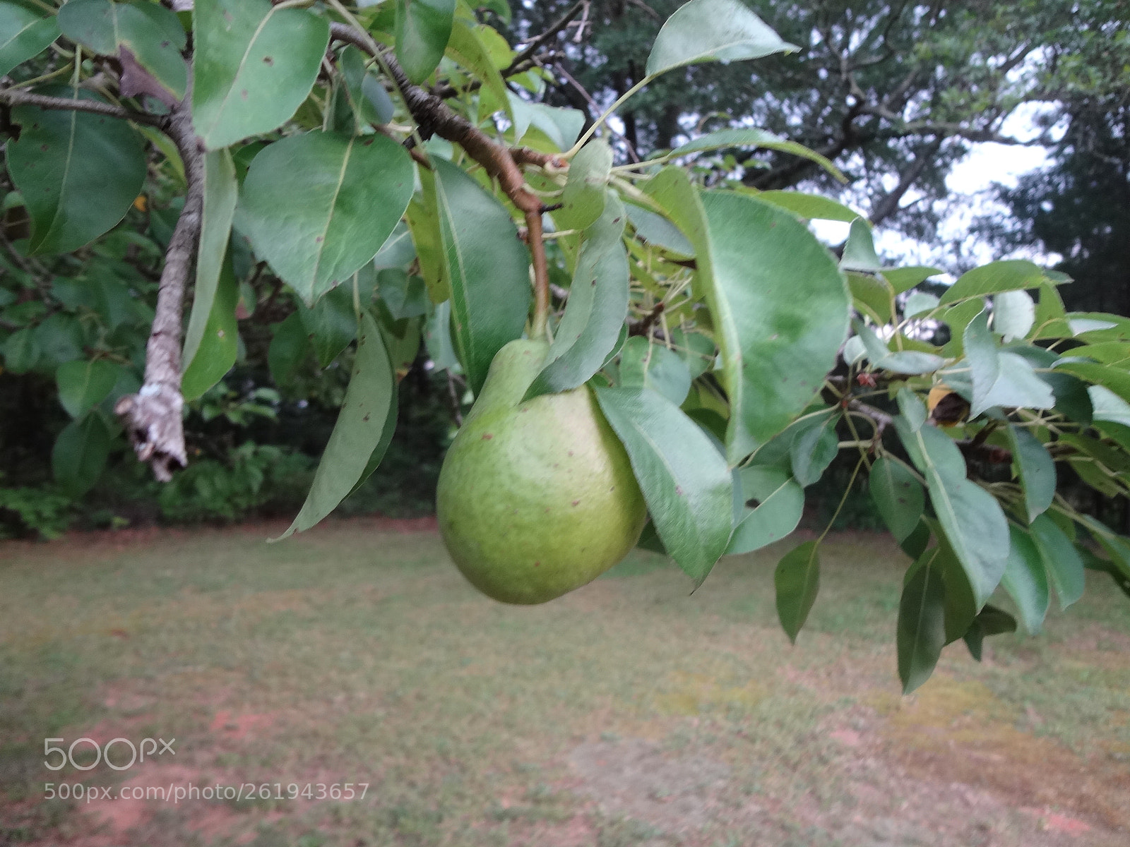 Sony Cyber-shot DSC-WX50 sample photo. Dsc photography