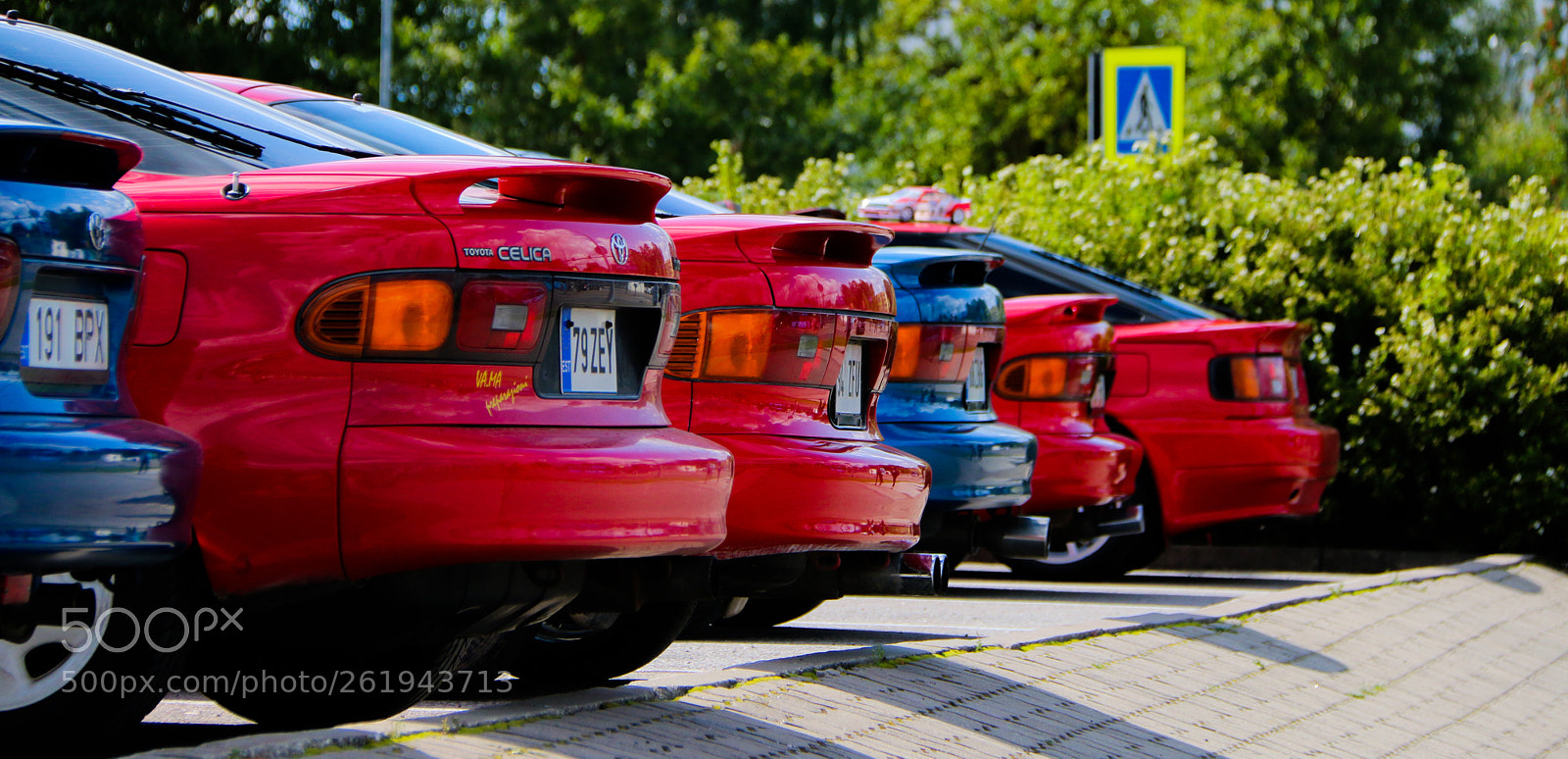 Canon EOS 70D sample photo. Celicas photography