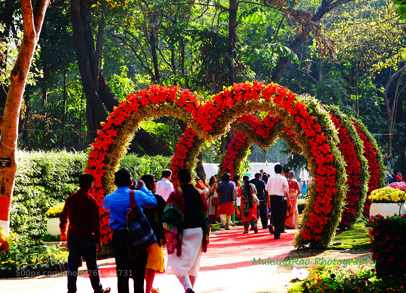 Sony FE 85mm F1.4 GM sample photo. Empress garden pune photography