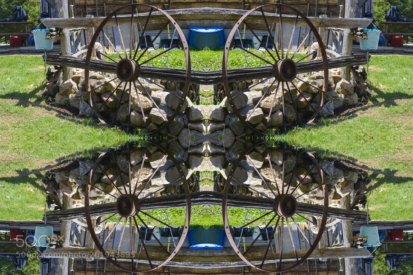 Nikon D3100 sample photo. Scale to pattern photography