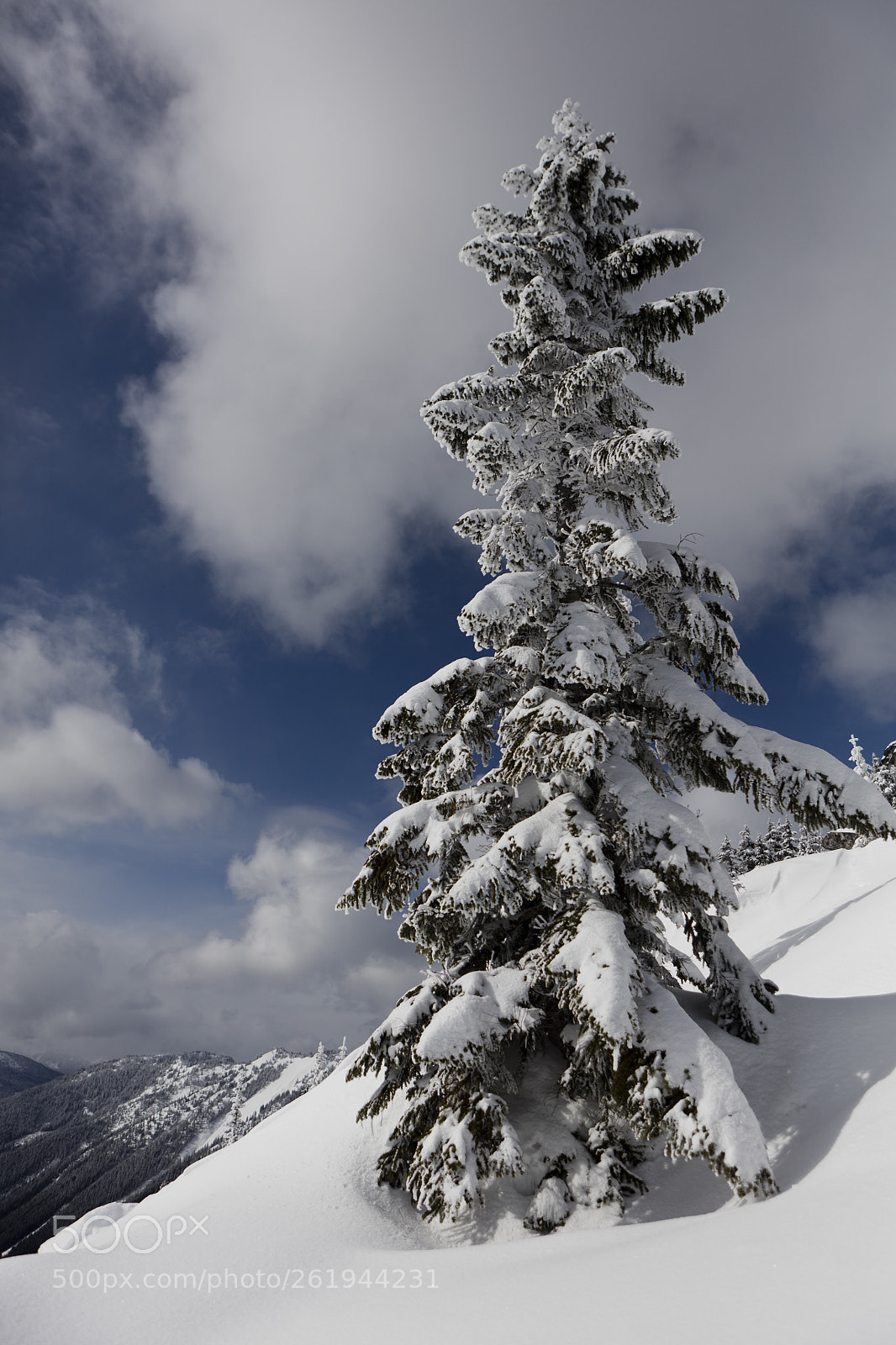 Canon EOS 5DS sample photo. Bluebird day photography