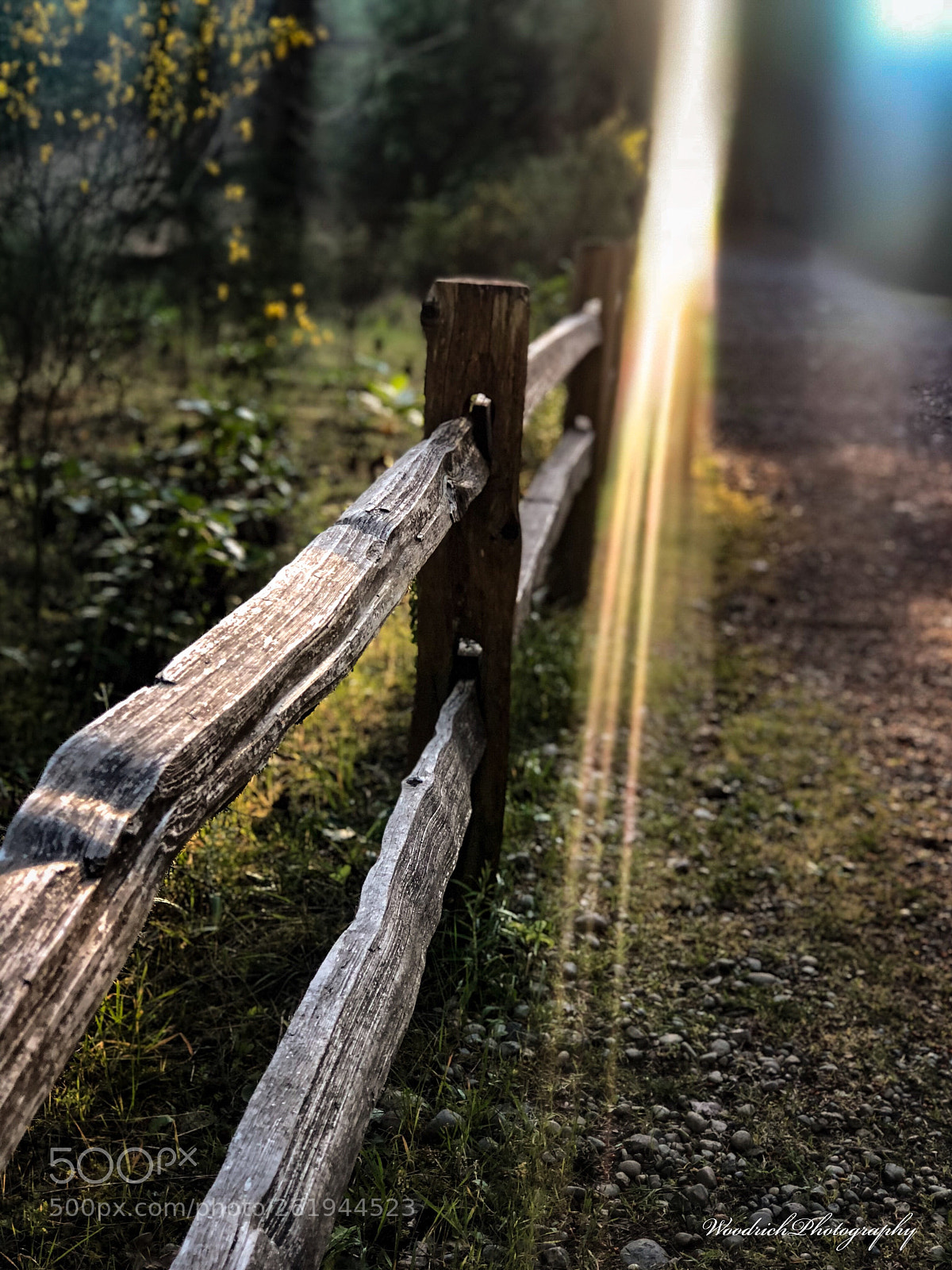 Apple iPhone 8 Plus sample photo. Simplicity  photography