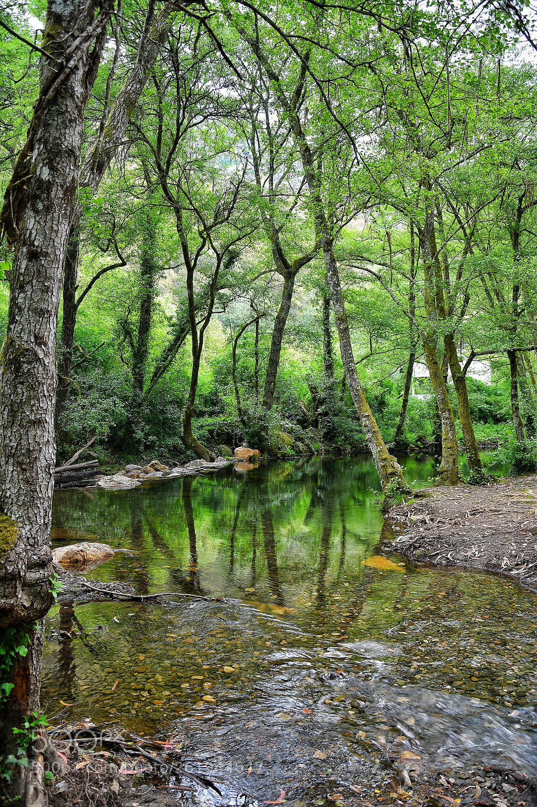 Nikon D7500 sample photo. Fragas de s. sim photography