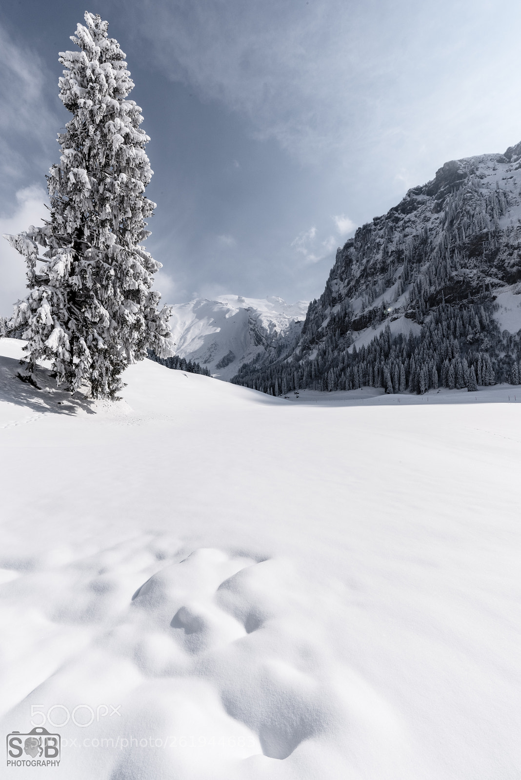 Nikon D810 sample photo. Engelberg winter landscape 50 photography