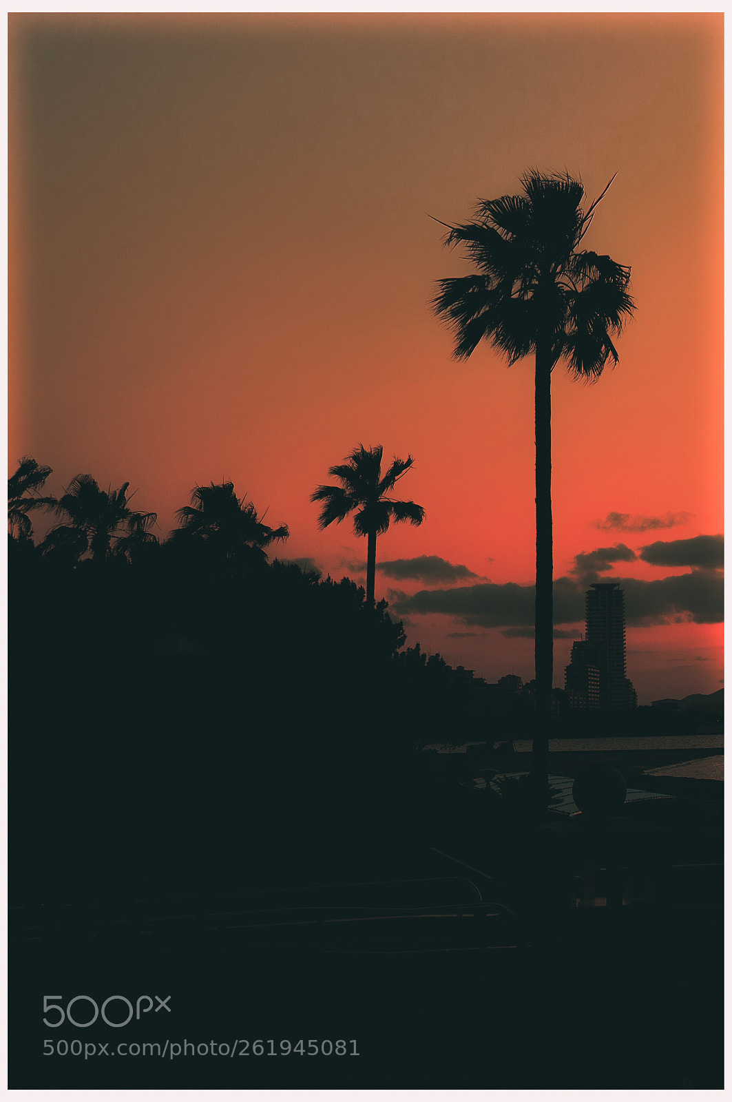 Canon EOS 7D Mark II sample photo. Sunset photography