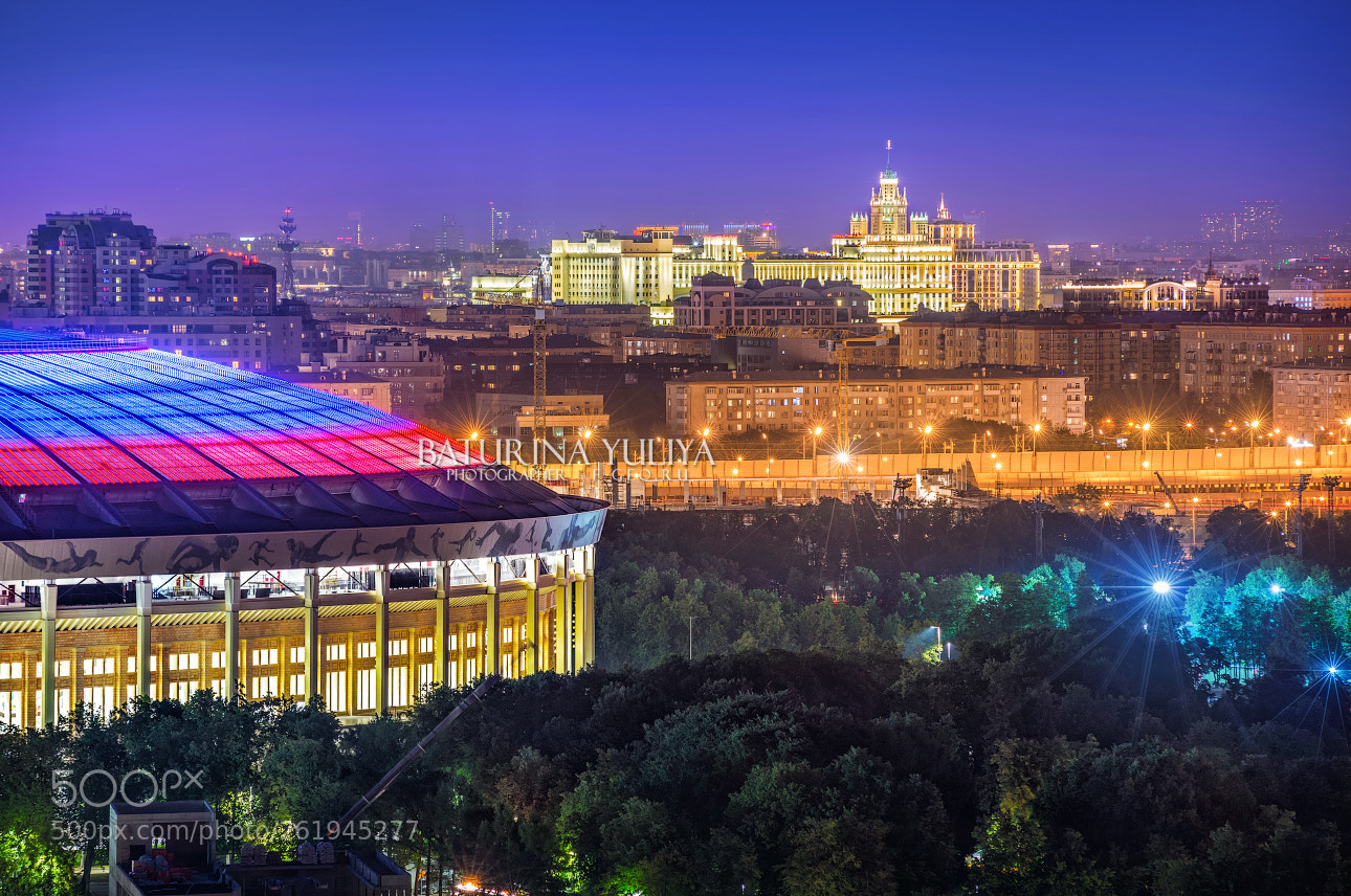 Nikon D800 sample photo. View of luzhniki and photography
