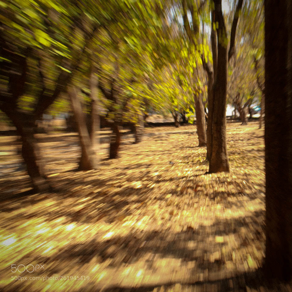 Canon EOS 700D (EOS Rebel T5i / EOS Kiss X7i) sample photo. Innerspeaker photography
