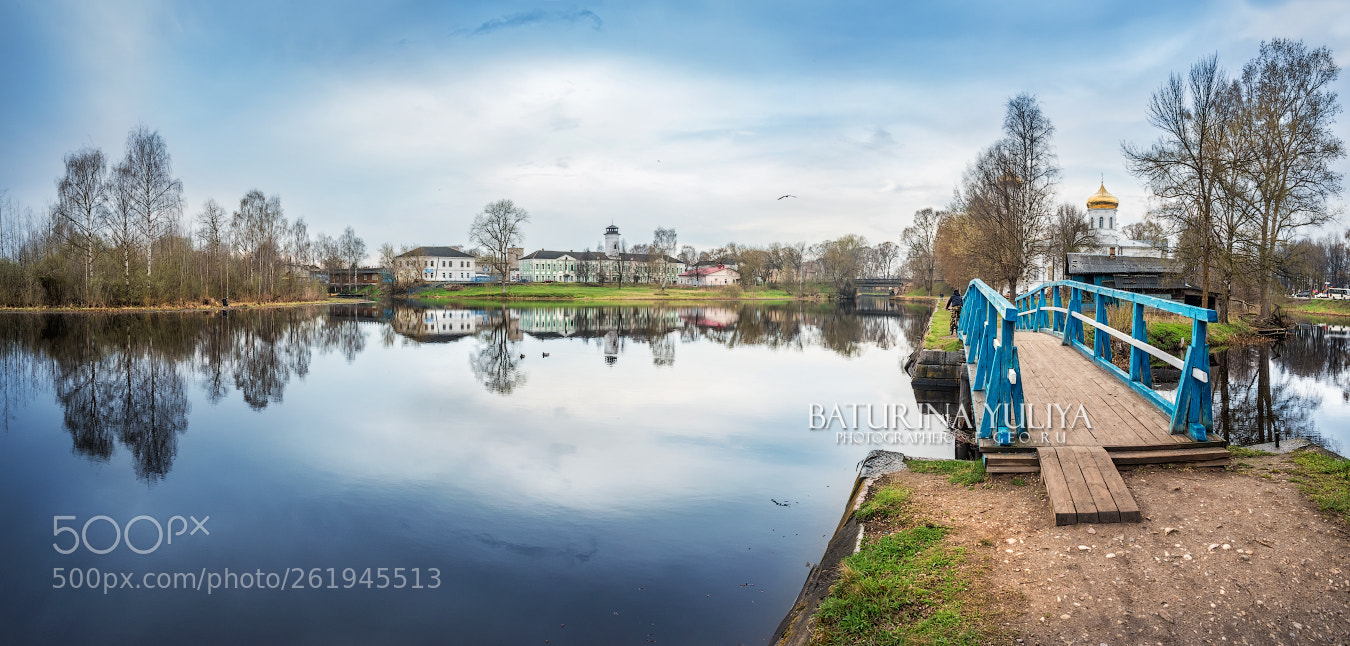 Nikon D800 sample photo. Wooden bridge near the photography