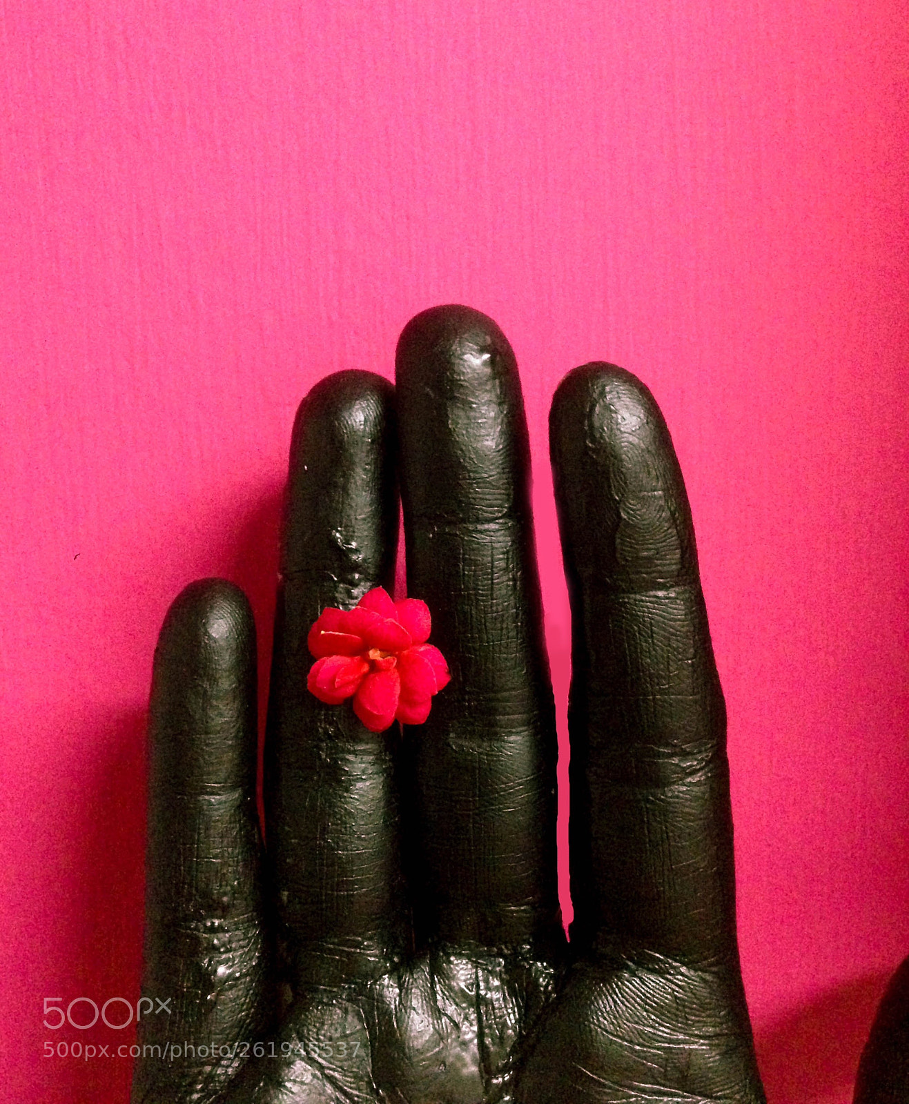 Apple iPhone 5 sample photo. Untitled photography
