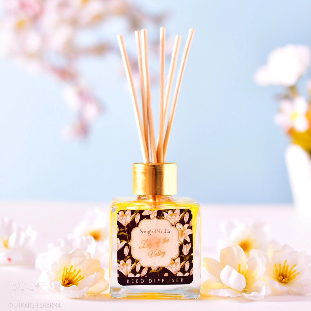 Nikon D5500 sample photo. Fragnace diffusers photography