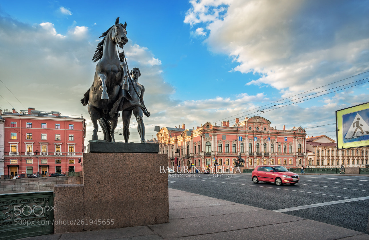 Nikon D800 sample photo. Sculptures of klodt's horses photography