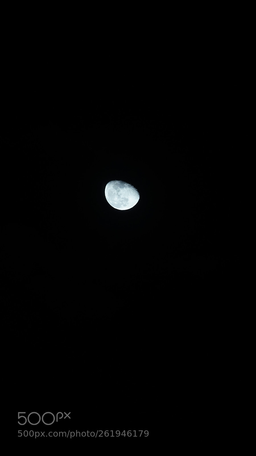 Sony FE 70-200mm F4 G OSS sample photo. Dsc photography