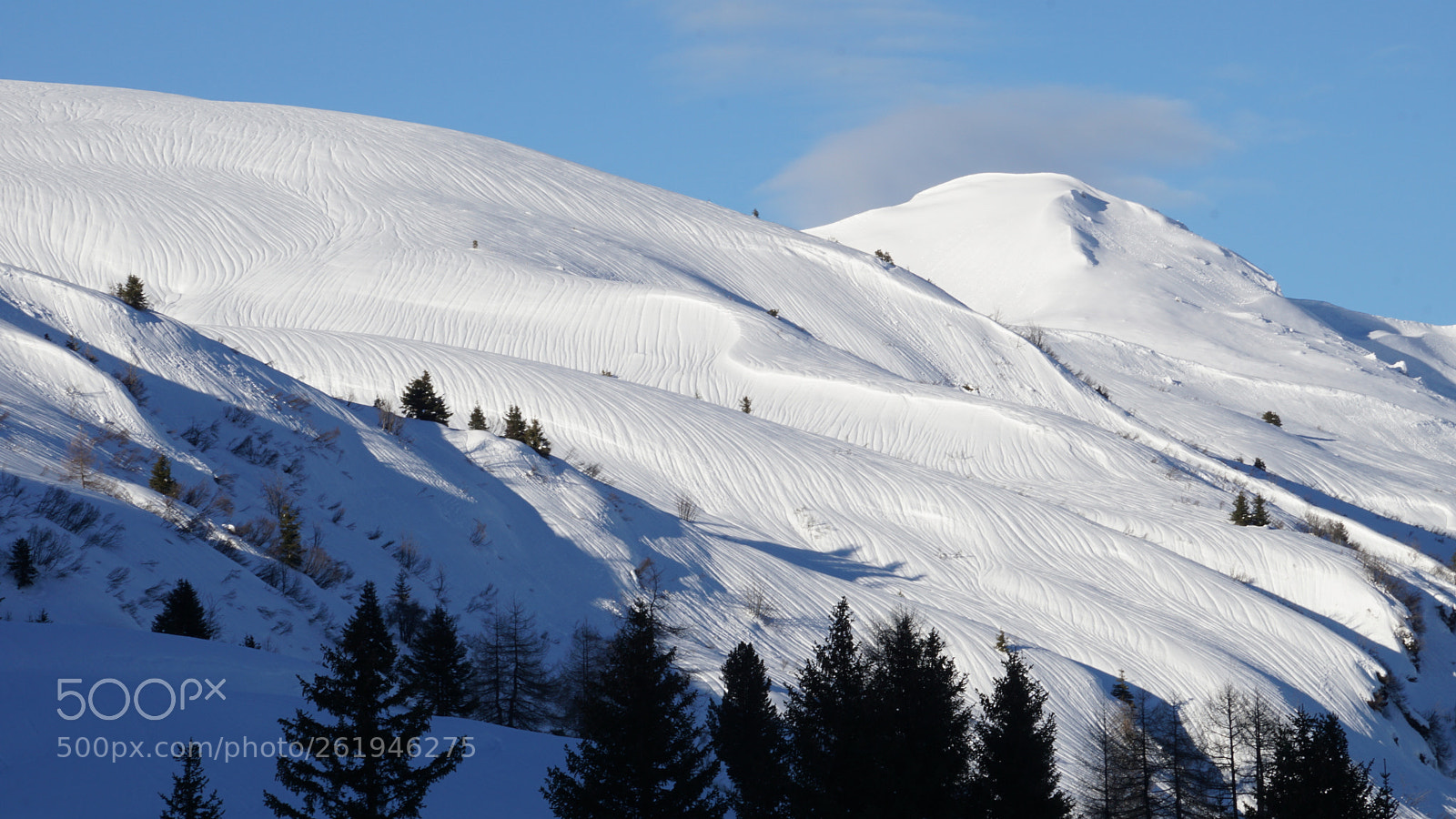 Sony a6000 sample photo. Dsc photography