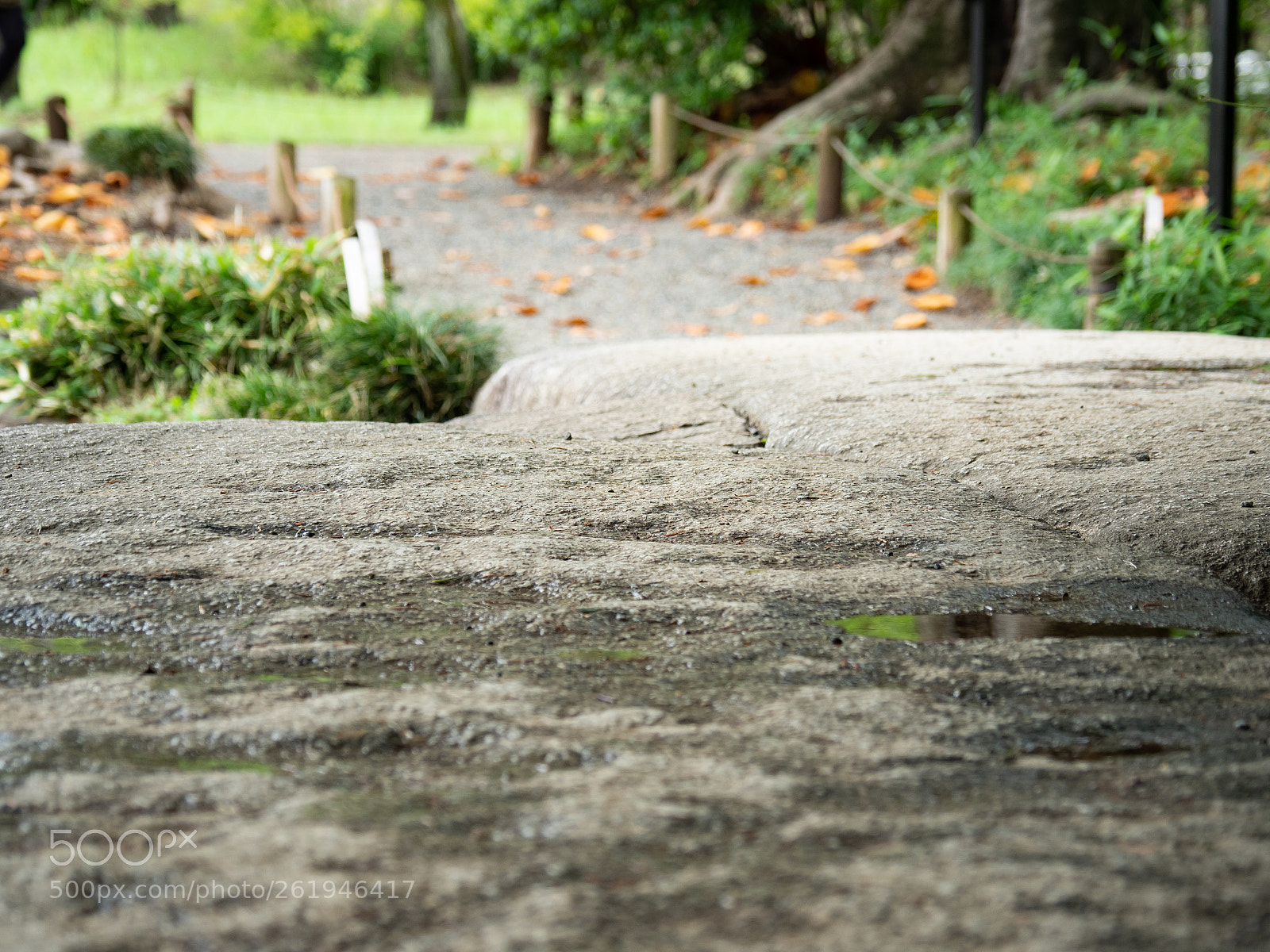 Olympus OM-D E-M1 Mark II sample photo. Olympus digital camera photography