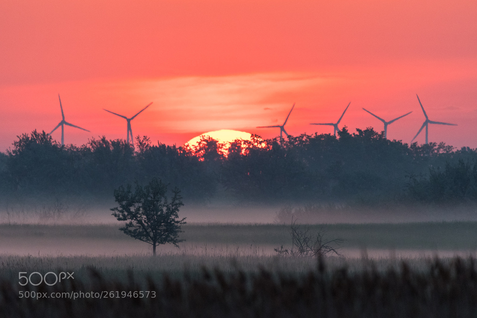 Nikon D500 sample photo. Awesome sunrise photography