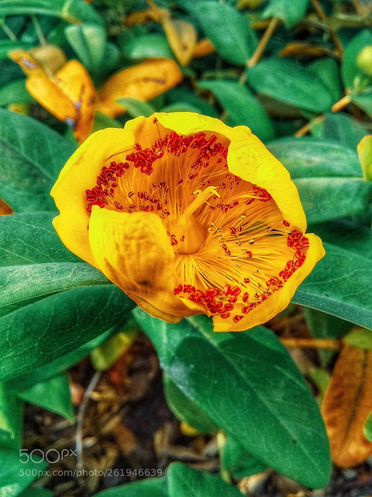 Motorola Moto E4 sample photo. Untitled photography