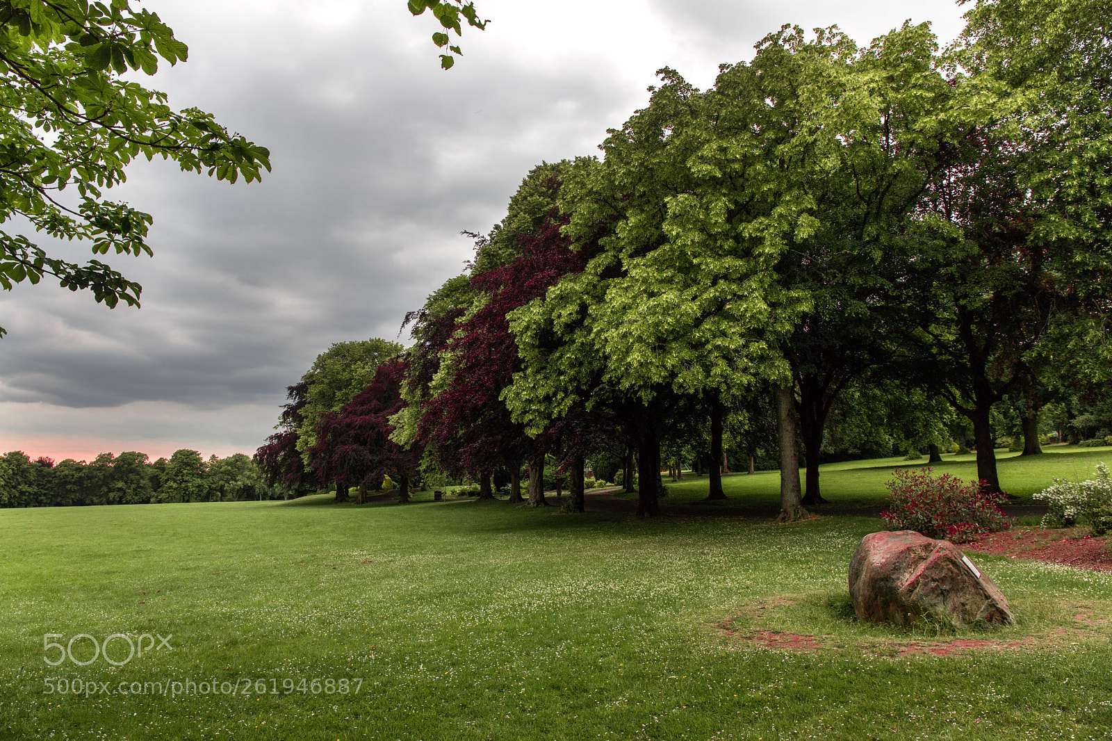 Canon EOS 6D Mark II sample photo. A walk in the photography