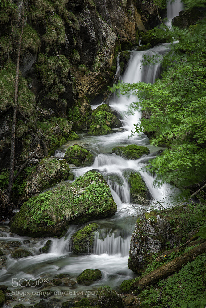 Canon EOS 5D Mark II sample photo. Mountain stream photography