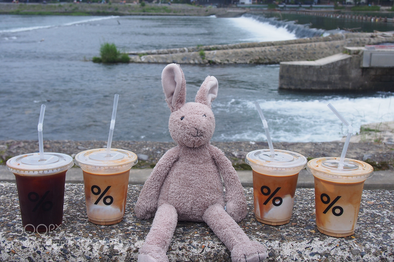 Olympus PEN E-PL6 sample photo. % arabica kyoto arashiyama photography