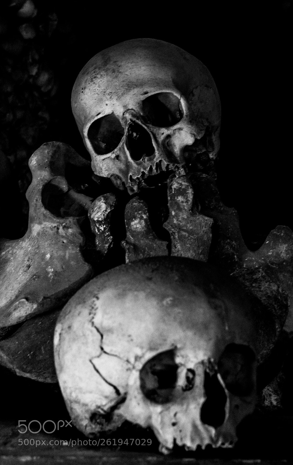 Nikon D5500 sample photo. Skulls photography