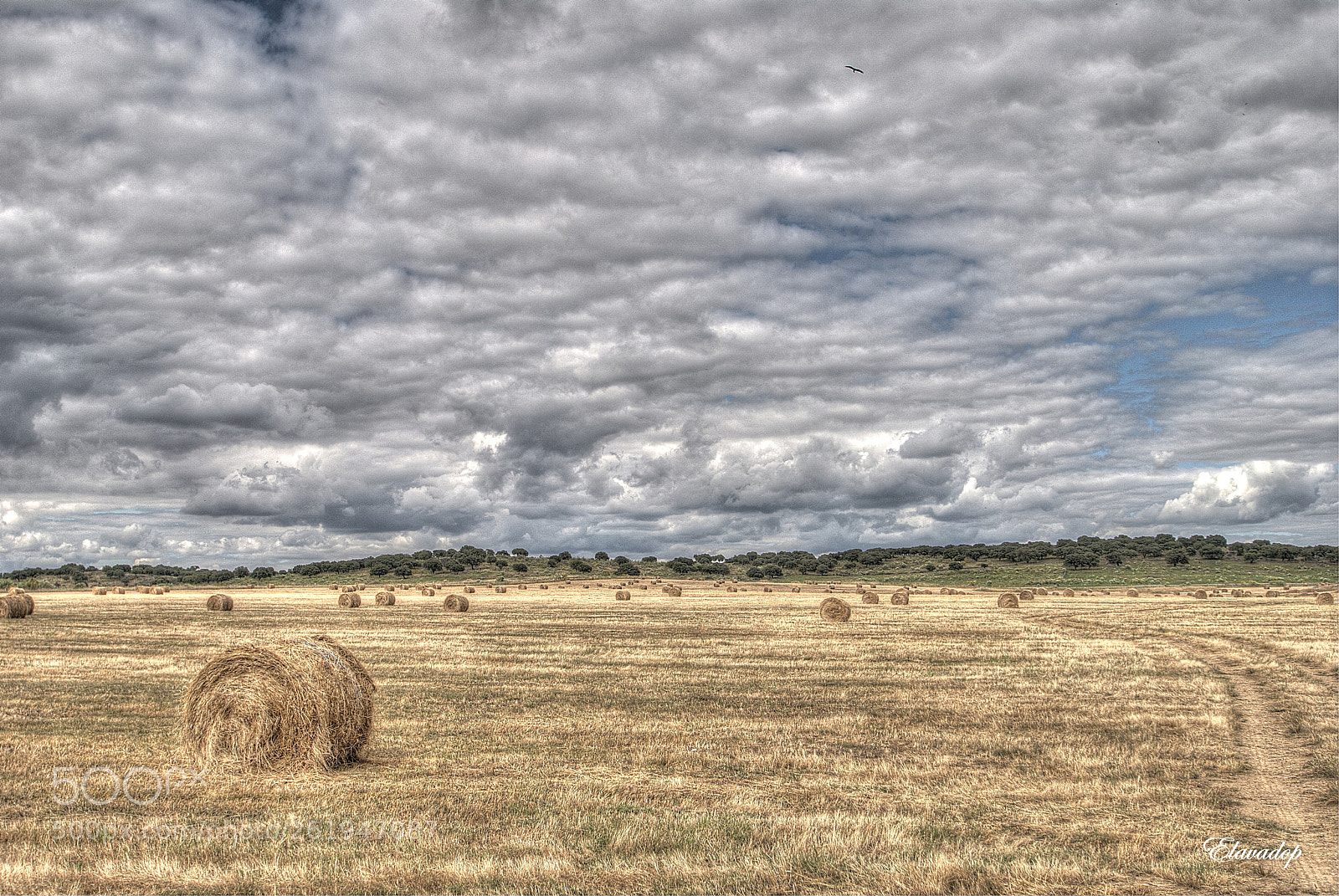 Nikon D3000 sample photo. Tiempo de cosechas photography