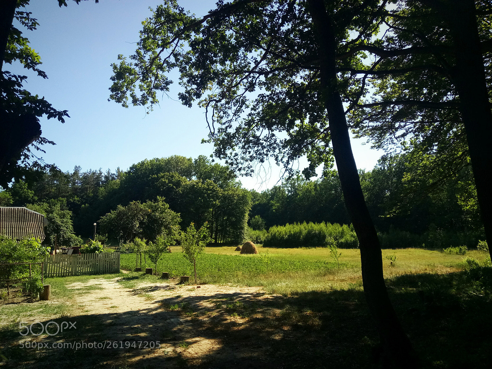 Meizu U20 sample photo. Untitled photography