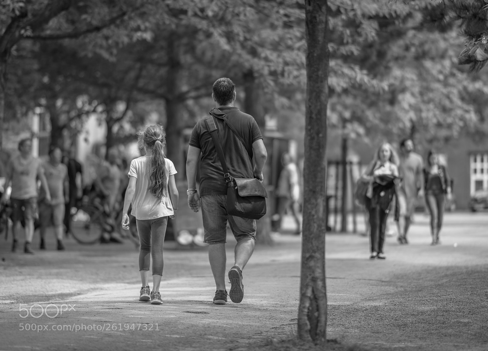 Nikon D850 sample photo. Walk photography