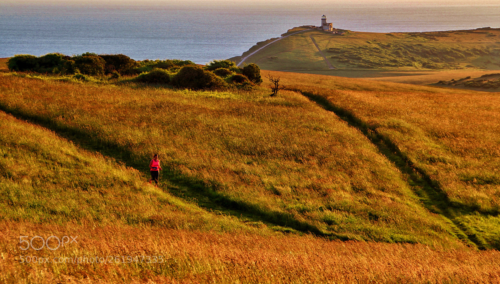 Canon EOS 60D sample photo. Running over the downs photography