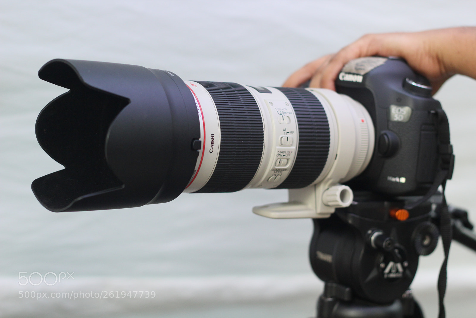Canon EOS 60D + Canon EF 50mm F1.8 II sample photo. Img photography