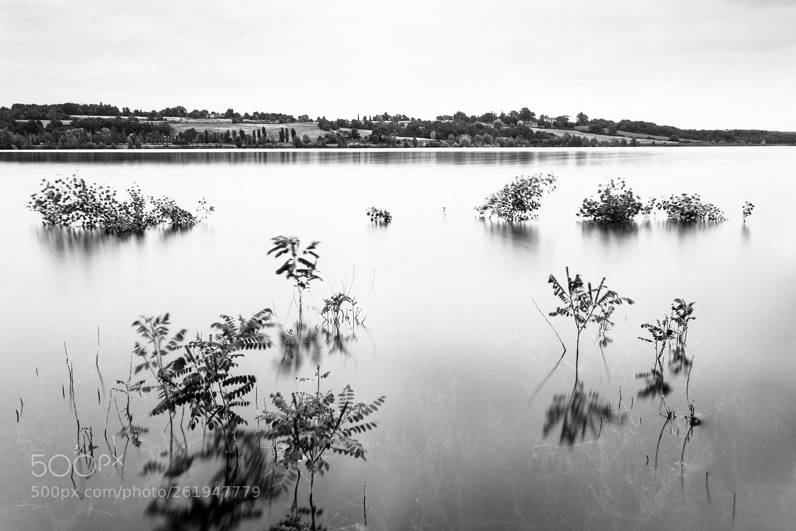 Nikon D5200 sample photo. Silence photography