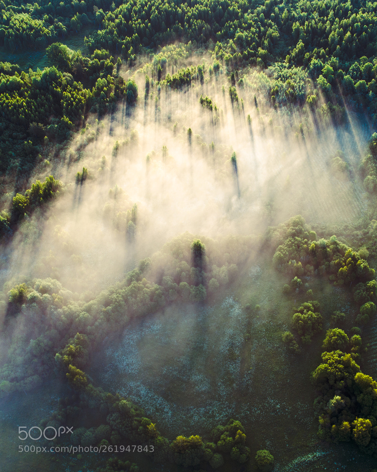 DJI FC6310 sample photo. Moody photography