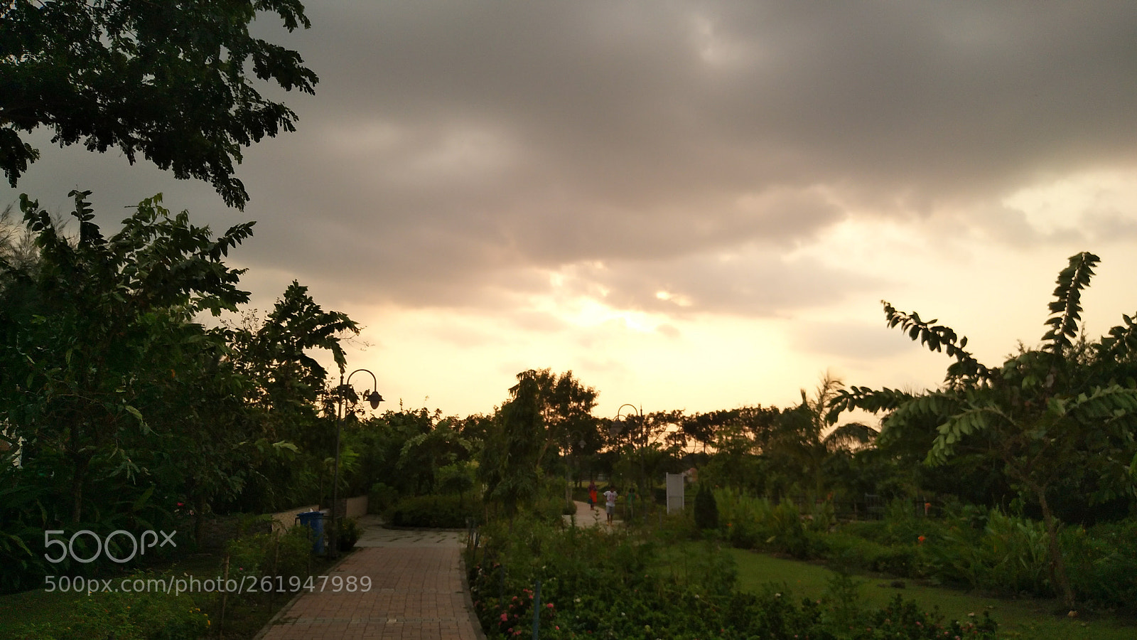 vivo 1611 sample photo. Path to heaven photography