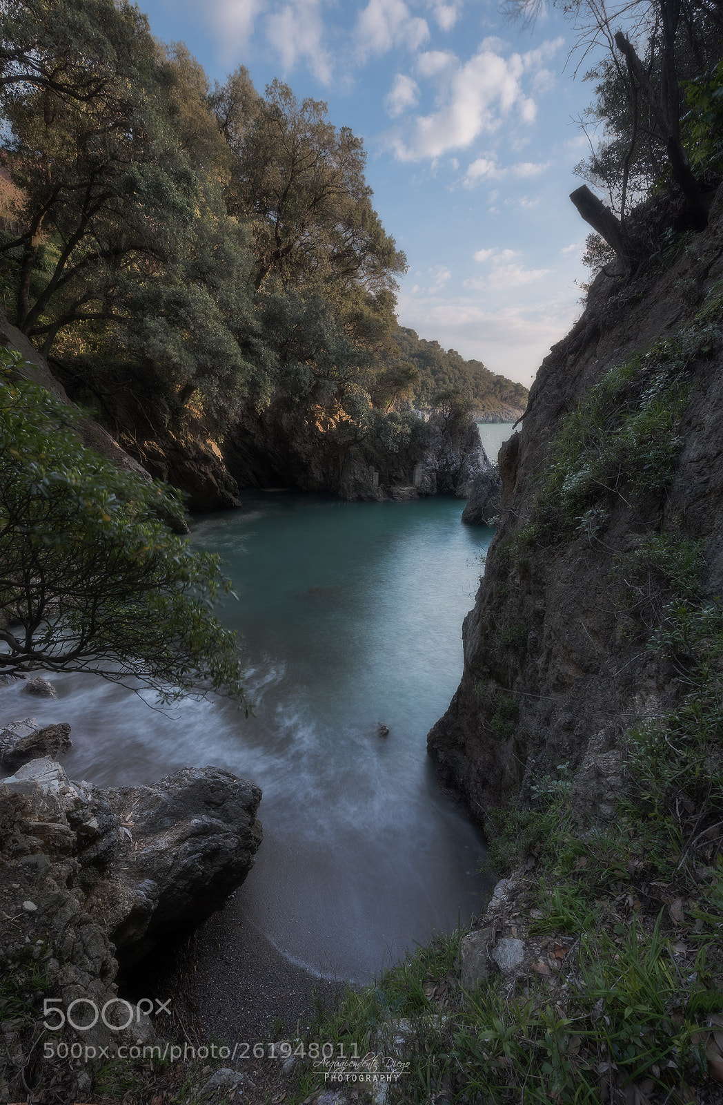 Nikon D750 sample photo. Caletta photography