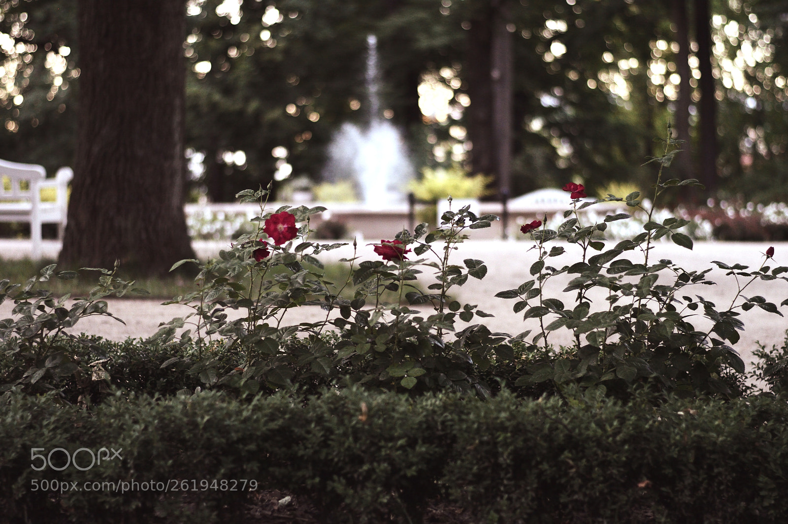 Nikon D3200 + Nikon AF-S Nikkor 50mm F1.8G sample photo. Lublin 1 photography