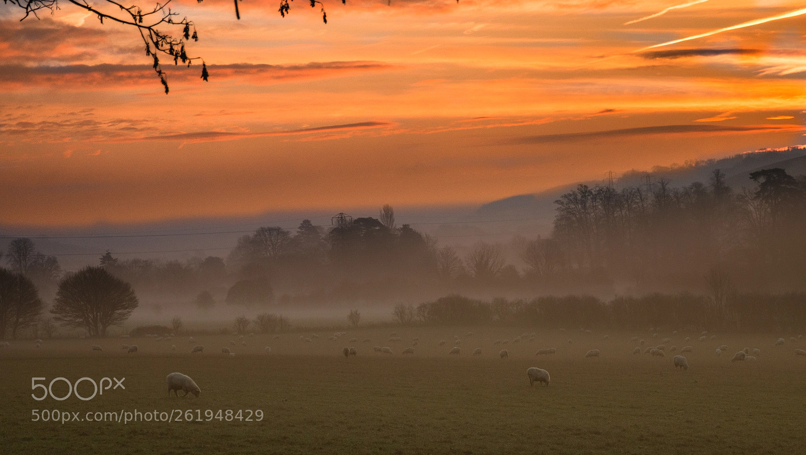 Canon EOS 70D sample photo. Moody sunrise photography