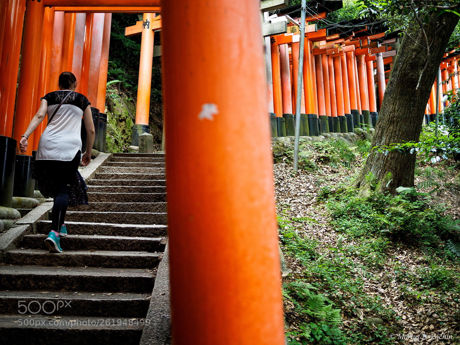 Olympus OM-D E-M5 II sample photo. Fushimi inari taisha photography
