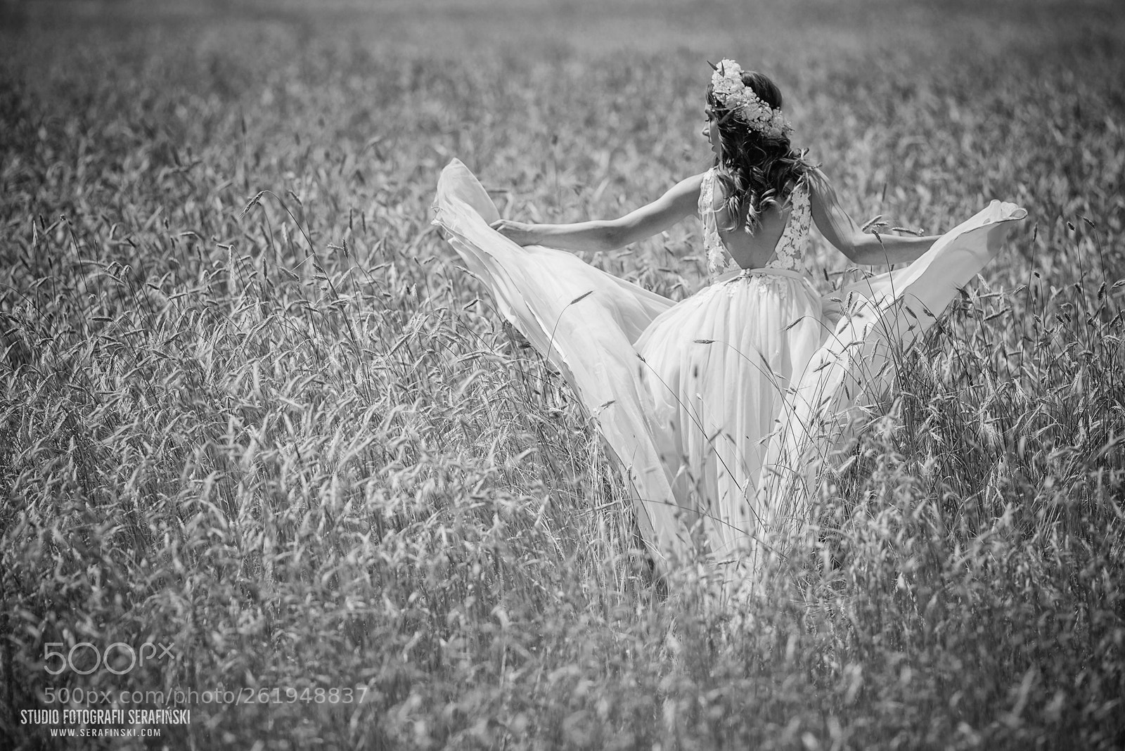 Nikon D750 sample photo. ... photography