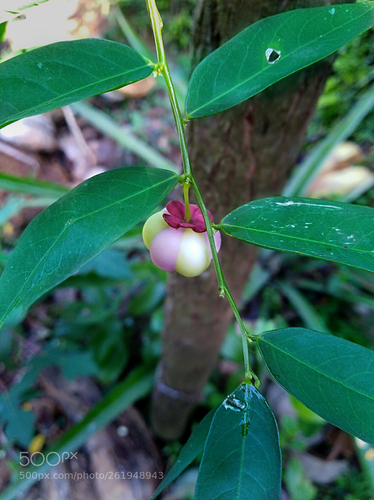 HUAWEI Y7 sample photo. Untitled photography