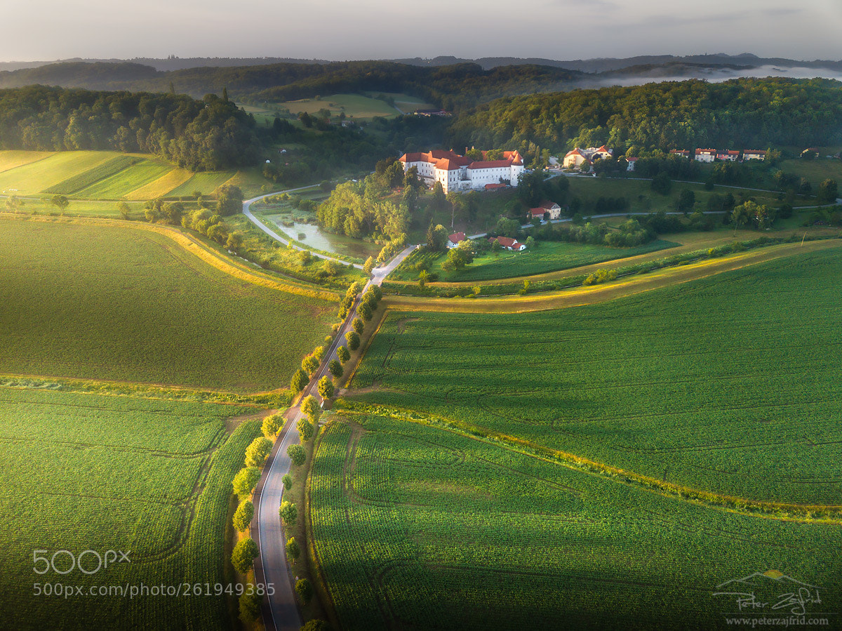 DJI FC220 sample photo. Morning light photography