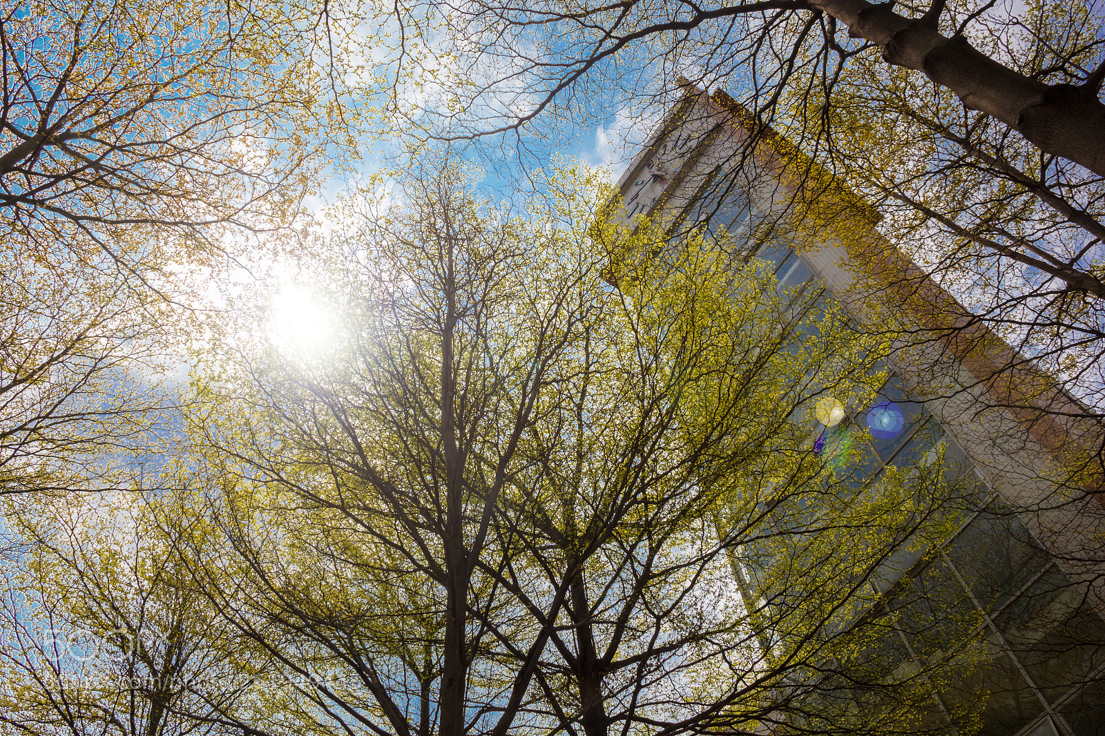 Canon EOS 60D sample photo. Bell tower from gdufs photography