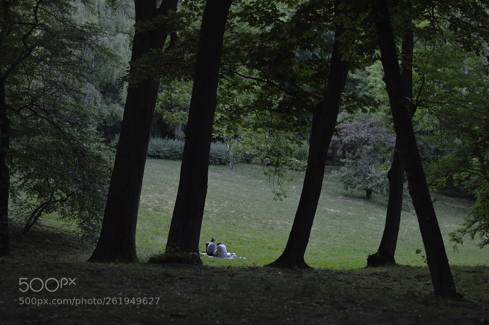 Nikon D3200 + Nikon AF-S Nikkor 50mm F1.8G sample photo. Lublin 3 photography