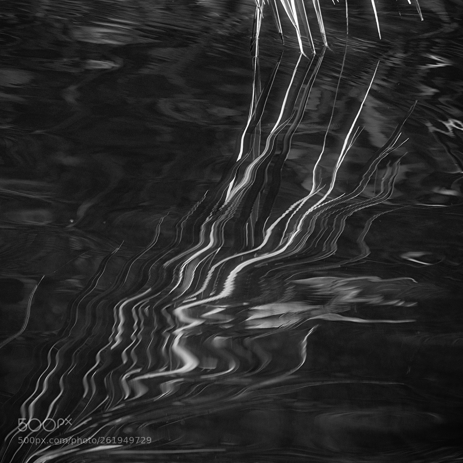 Fujifilm X-T2 sample photo. The ripple effect photography