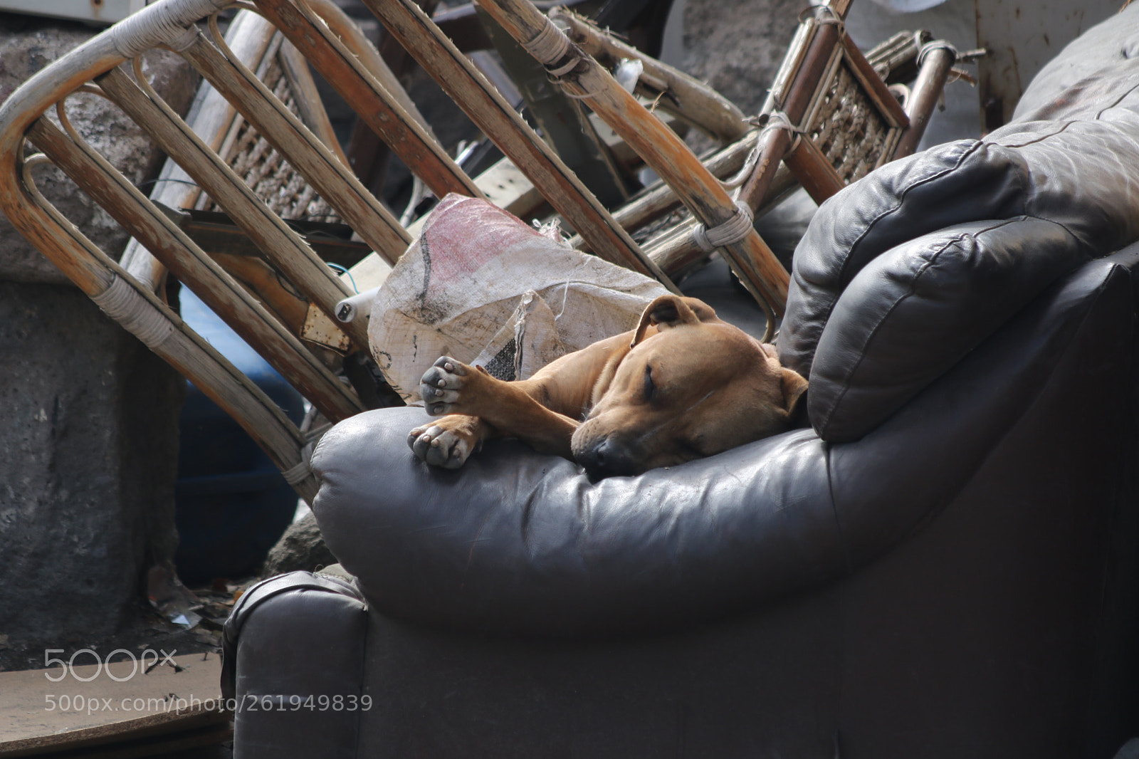 Canon EOS 760D (EOS Rebel T6s / EOS 8000D) sample photo. Untitled photography